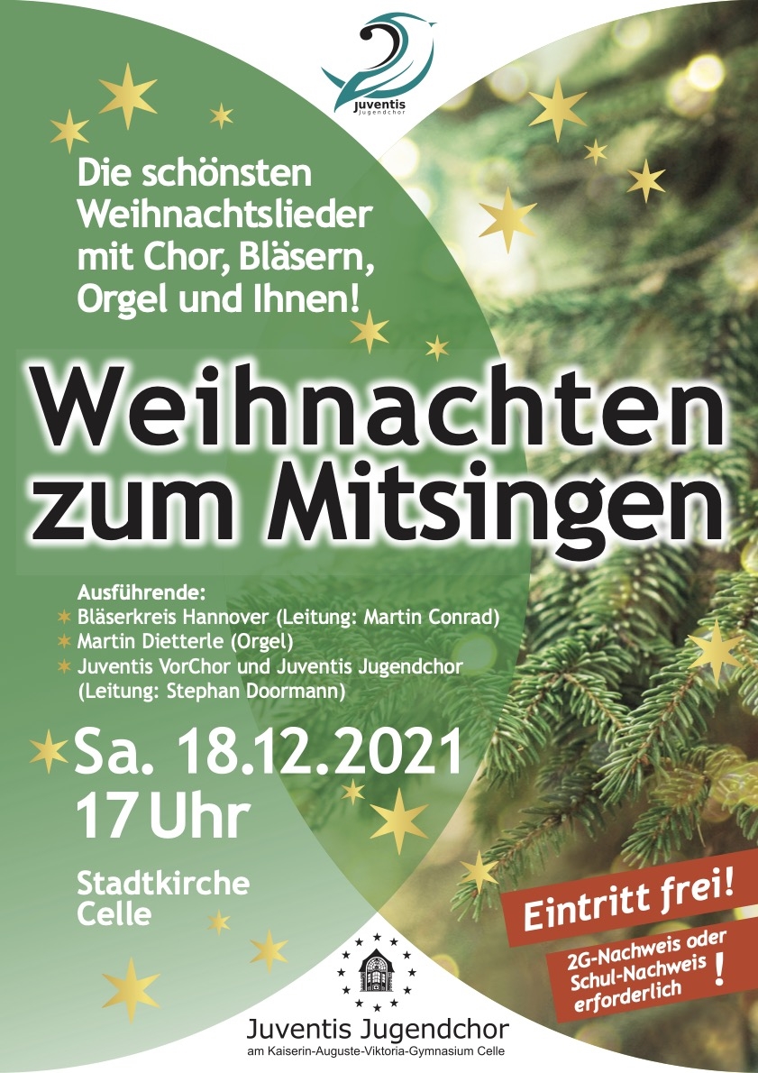 2021-Plakat_A3_Mitsingen